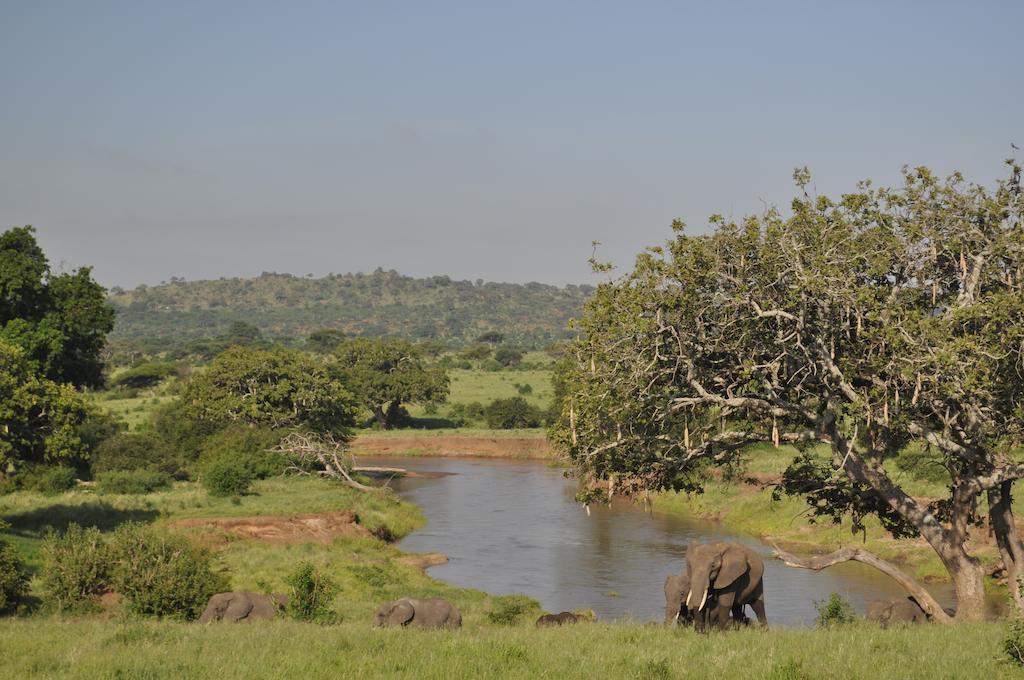 Elephant Rock Luxury Camp Tarangire Kaiti Exterior foto